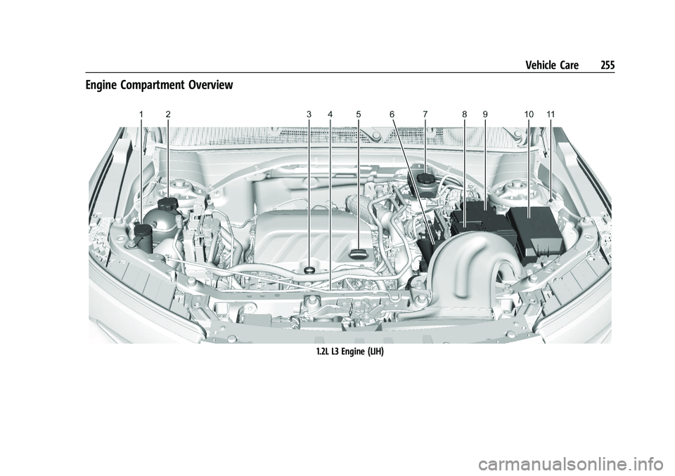 BUICK ENCORE GX 2021  Owners Manual Buick Encore GX Owner Manual (GMNA-Localizing-U.S./Canada/Mexico-
14608036) - 2021 - CRC - 9/21/20
Vehicle Care 255
Engine Compartment Overview
1.2L L3 Engine (LIH) 