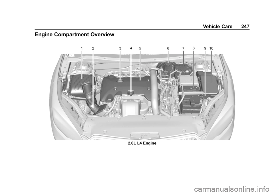 BUICK ENVISION 2019 Owners Manual Buick Envision Owner Manual (GMNA-Localizing-U.S./Canada/Mexico-
12032235) - 2019 - CRC - 6/27/18
Vehicle Care 247
Engine Compartment Overview
2.0L L4 Engine BUICK ENVISION 2019 Owners Manual Buick Envision Owner Manual (GMNA-Localizing-U.S./Canada/Mexico-
12032235) - 2019 - CRC - 6/27/18
Vehicle Care 247
Engine Compartment Overview
2.0L L4 Engine