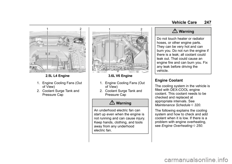 BUICK LACROSSE 2019 Owners Manual Buick LaCrosse Owner Manual (GMNA-Localizing-U.S./Canada-12032549) -
2019 - crc - 8/20/18
Vehicle Care 247
2.5L L4 Engine
1. Engine Cooling Fans (Outof View)
2. Coolant Surge Tank and Pressure Cap
3.6 BUICK LACROSSE 2019 Owners Manual Buick LaCrosse Owner Manual (GMNA-Localizing-U.S./Canada-12032549) -
2019 - crc - 8/20/18
Vehicle Care 247
2.5L L4 Engine
1. Engine Cooling Fans (Outof View)
2. Coolant Surge Tank and Pressure Cap
3.6