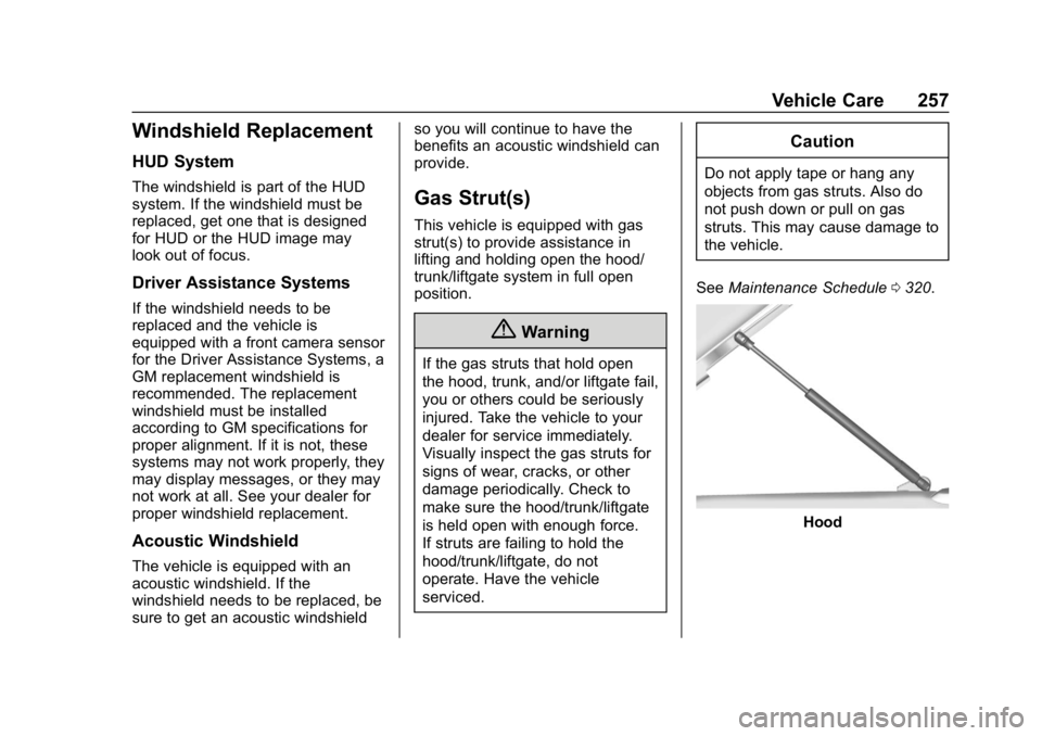 BUICK LACROSSE 2019 Owners Manual Buick LaCrosse Owner Manual (GMNA-Localizing-U.S./Canada-12032549) -
2019 - crc - 8/20/18
Vehicle Care 257
Windshield Replacement
HUD System
The windshield is part of the HUD
system. If the windshield BUICK LACROSSE 2019 Owners Manual Buick LaCrosse Owner Manual (GMNA-Localizing-U.S./Canada-12032549) -
2019 - crc - 8/20/18
Vehicle Care 257
Windshield Replacement
HUD System
The windshield is part of the HUD
system. If the windshield