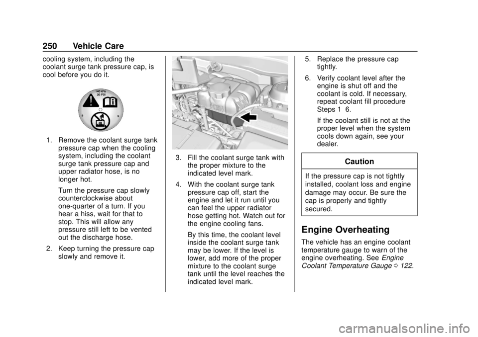 BUICK ENVISION 2018  Owners Manual Buick Envision Owner Manual (GMNA-Localizing-U.S./Canada/Mexico-
11434432) - 2018 - CRC - 10/25/17
250 Vehicle Care
cooling system, including the
coolant surge tank pressure cap, is
cool before you do