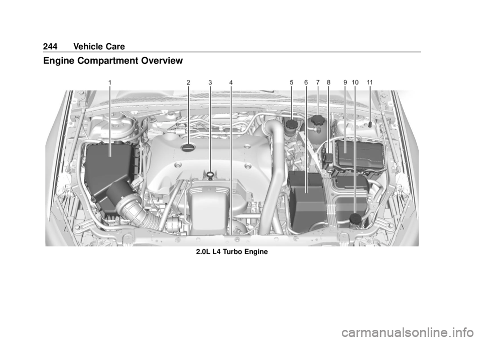 BUICK REGAL 2018 Owners Manual Buick Regal Owner Manual (GMNA-Localizing-2nd Timed Print-U.S./Canada-
11486030) - 2018 - crc - 3/23/18
244 Vehicle Care
Engine Compartment Overview
2.0L L4 Turbo Engine BUICK REGAL 2018 Owners Manual Buick Regal Owner Manual (GMNA-Localizing-2nd Timed Print-U.S./Canada-
11486030) - 2018 - crc - 3/23/18
244 Vehicle Care
Engine Compartment Overview
2.0L L4 Turbo Engine