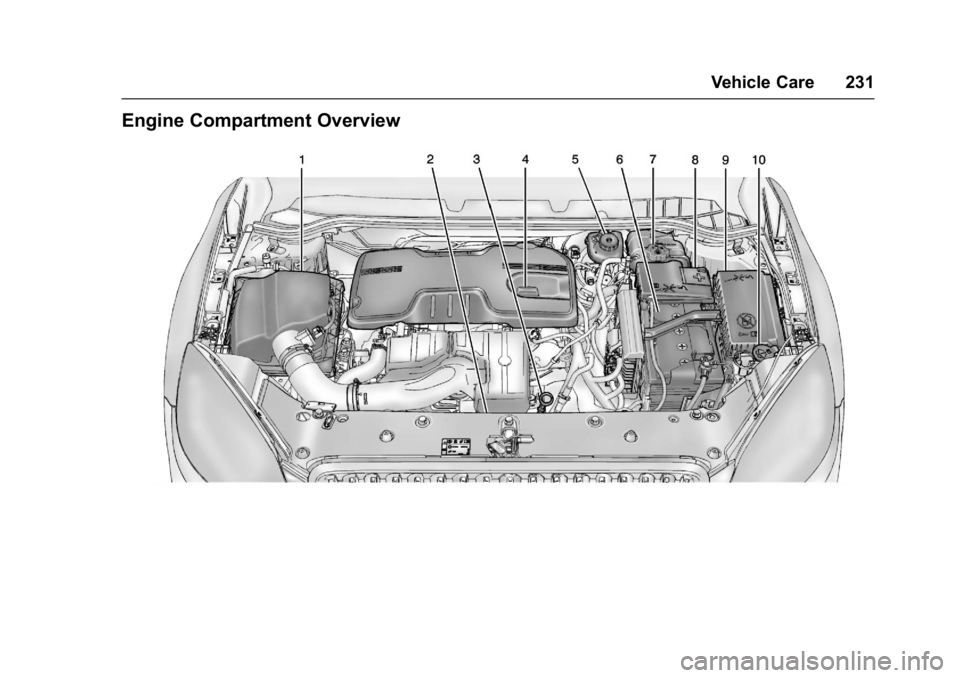 BUICK VERANO 2017 Manual PDF Buick Verano Owner Manual (GMNA- Localizing-U.S./Canada-10122753) -
2017 - crc - 5/16/16
Vehicle Care 231
Engine Compartment Overview BUICK VERANO 2017 Manual PDF Buick Verano Owner Manual (GMNA- Localizing-U.S./Canada-10122753) -
2017 - crc - 5/16/16
Vehicle Care 231
Engine Compartment Overview