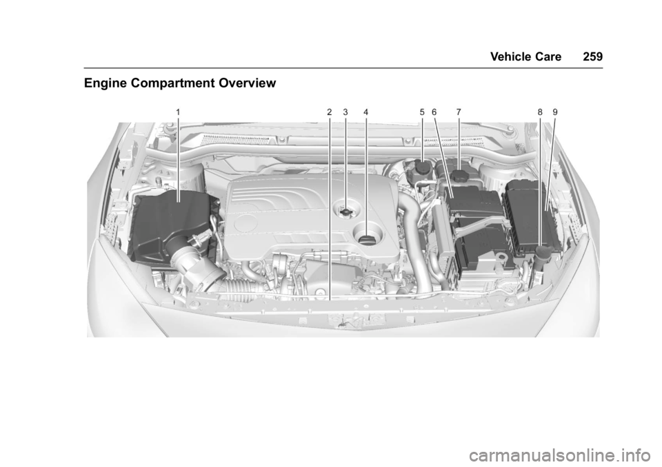 BUICK CASCADA 2016 Owners Manual Buick Cascada Owner Manual (GMNA-Localizing-U.S-9186636) - 2016 - crc -
3/9/16
Vehicle Care 259
Engine Compartment Overview BUICK CASCADA 2016 Owners Manual Buick Cascada Owner Manual (GMNA-Localizing-U.S-9186636) - 2016 - crc -
3/9/16
Vehicle Care 259
Engine Compartment Overview