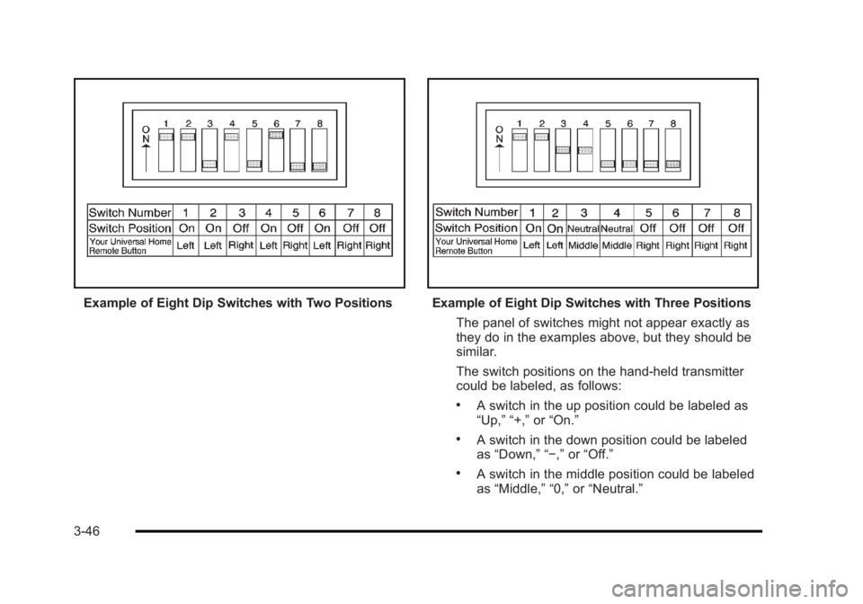 BUICK LUCERNE 2011  Owners Manual Black plate (46,1)Buick Lucerne Owner Manual - 2011
Example of Eight Dip Switches with Two PositionsExample of Eight Dip Switches with Three PositionsThe panel of switches might not appear exactly as
