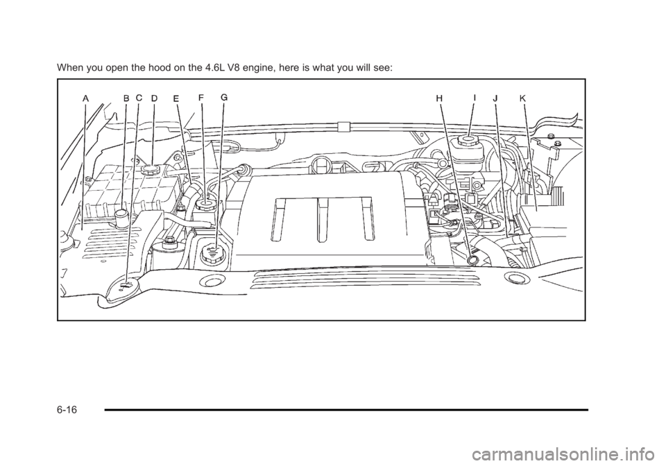 BUICK LUCERNE 2011  Owners Manual Black plate (16,1)Buick Lucerne Owner Manual - 2011
When you open the hood on the 4.6L V8 engine, here is what you will see:
6-16 