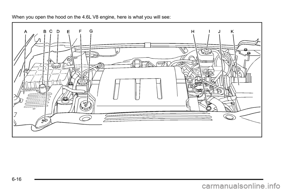 BUICK LUCERNE 2010  Owners Manual When you open the hood on the 4.6L V8 engine, here is what you will see:
6-16 