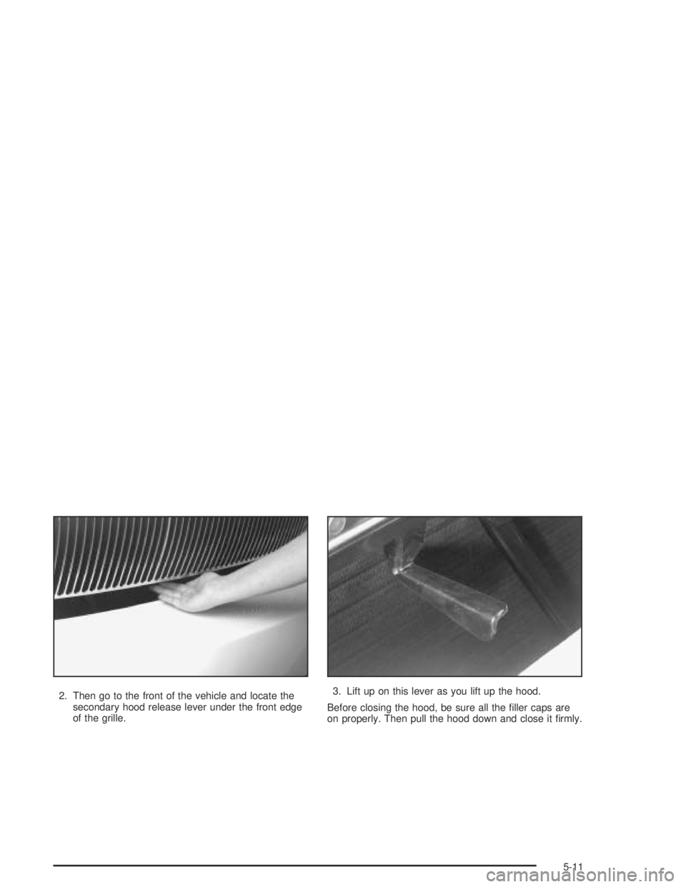 BUICK PARK AVENUE 2005 Owners Manual 2. Then go to the front of the vehicle and locate the
secondary hood release lever under the front edge
of the grille.3. Lift up on this lever as you lift up the hood.
Before closing the hood, be sure BUICK PARK AVENUE 2005 Owners Manual 2. Then go to the front of the vehicle and locate the
secondary hood release lever under the front edge
of the grille.3. Lift up on this lever as you lift up the hood.
Before closing the hood, be sure