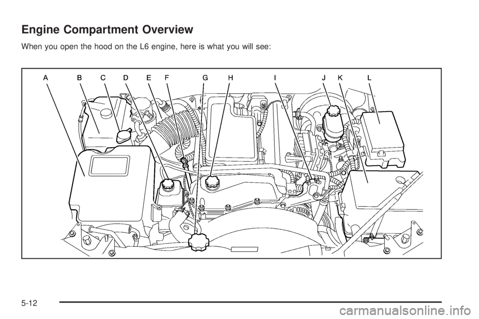 BUICK RAINIER 2005  Owners Manual Engine Compartment Overview
When you open the hood on the L6 engine, here is what you will see:
5-12 