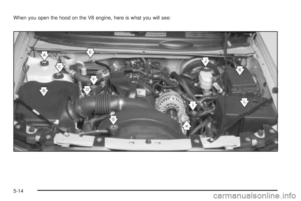 BUICK RAINIER 2005  Owners Manual When you open the hood on the V8 engine, here is what you will see:
5-14 