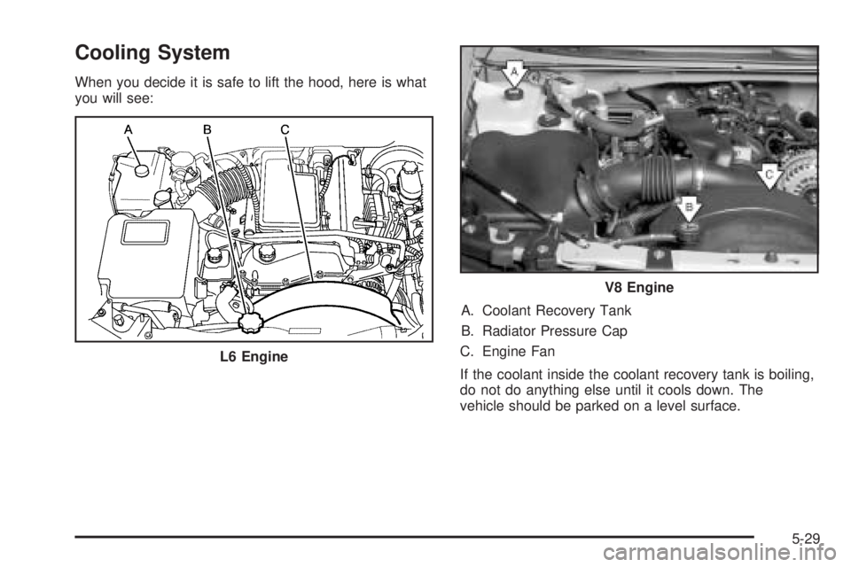 BUICK RAINIER 2005  Owners Manual Cooling System
When you decide it is safe to lift the hood, here is what
you will see:
A. Coolant Recovery Tank
B. Radiator Pressure Cap
C. Engine Fan
If the coolant inside the coolant recovery tank i