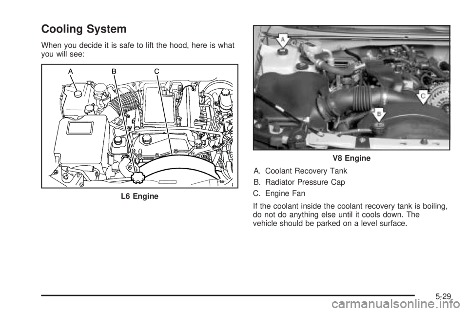 BUICK RAINIER 2005 Manual Online Cooling System
When you decide it is safe to lift the hood, here is what
you will see:
A. Coolant Recovery Tank
B. Radiator Pressure Cap
C. Engine Fan
If the coolant inside the coolant recovery tank i