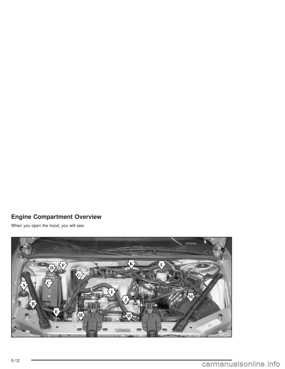 BUICK CENTURY 2004  Owners Manual Engine Compartment Overview
When you open the hood, you will see:
5-12 
