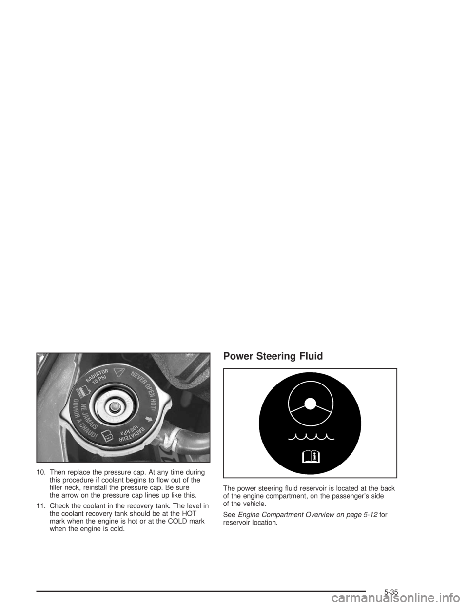 BUICK CENTURY 2004 Owners Guide 10. Then replace the pressure cap. At any time during
this procedure if coolant begins to �ow out of the
�ller neck, reinstall the pressure cap. Be sure
the arrow on the pressure cap lines up like thi