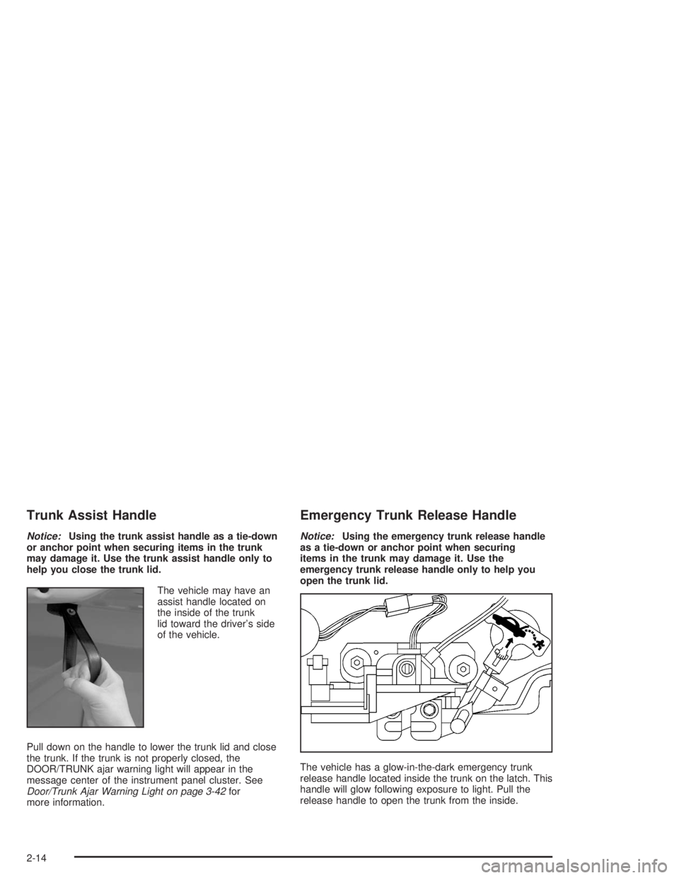 BUICK CENTURY 2004  Owners Manual Trunk Assist Handle
Notice:Using the trunk assist handle as a tie-down
or anchor point when securing items in the trunk
may damage it. Use the trunk assist handle only to
help you close the trunk lid.