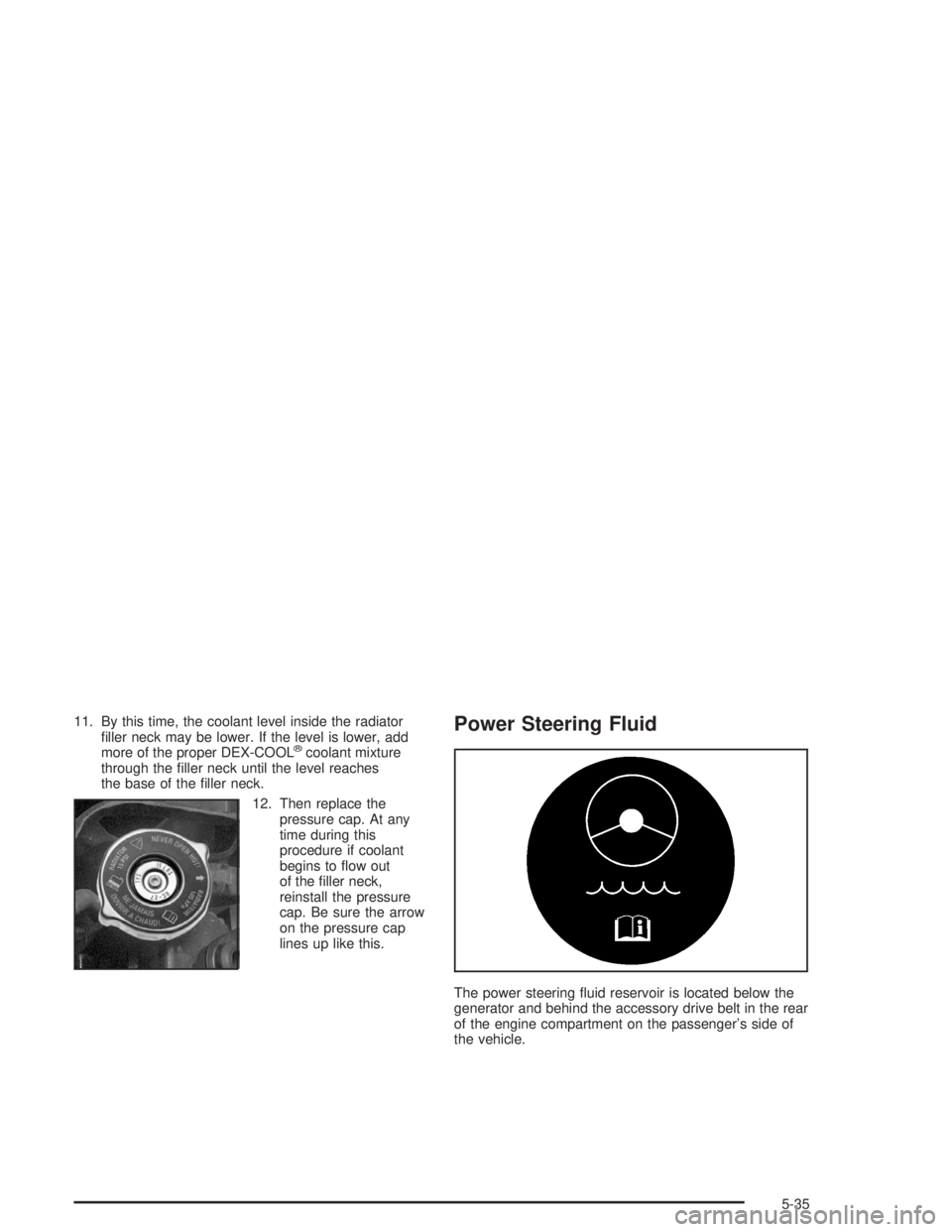 BUICK LESABRE 2004  Owners Manual 11. By this time, the coolant level inside the radiator
�ller neck may be lower. If the level is lower, add
more of the proper DEX-COOL
®coolant mixture
through the �ller neck until the level reaches