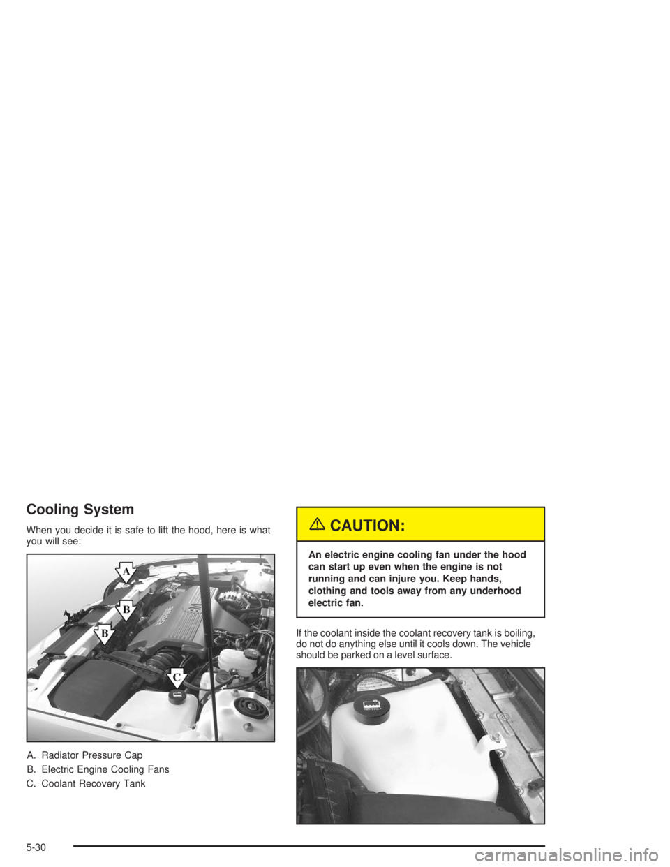 BUICK PARK AVENUE 2004  Owners Manual Cooling System
When you decide it is safe to lift the hood, here is what
you will see:
A. Radiator Pressure Cap
B. Electric Engine Cooling Fans
C. Coolant Recovery Tank{CAUTION:
An electric engine coo