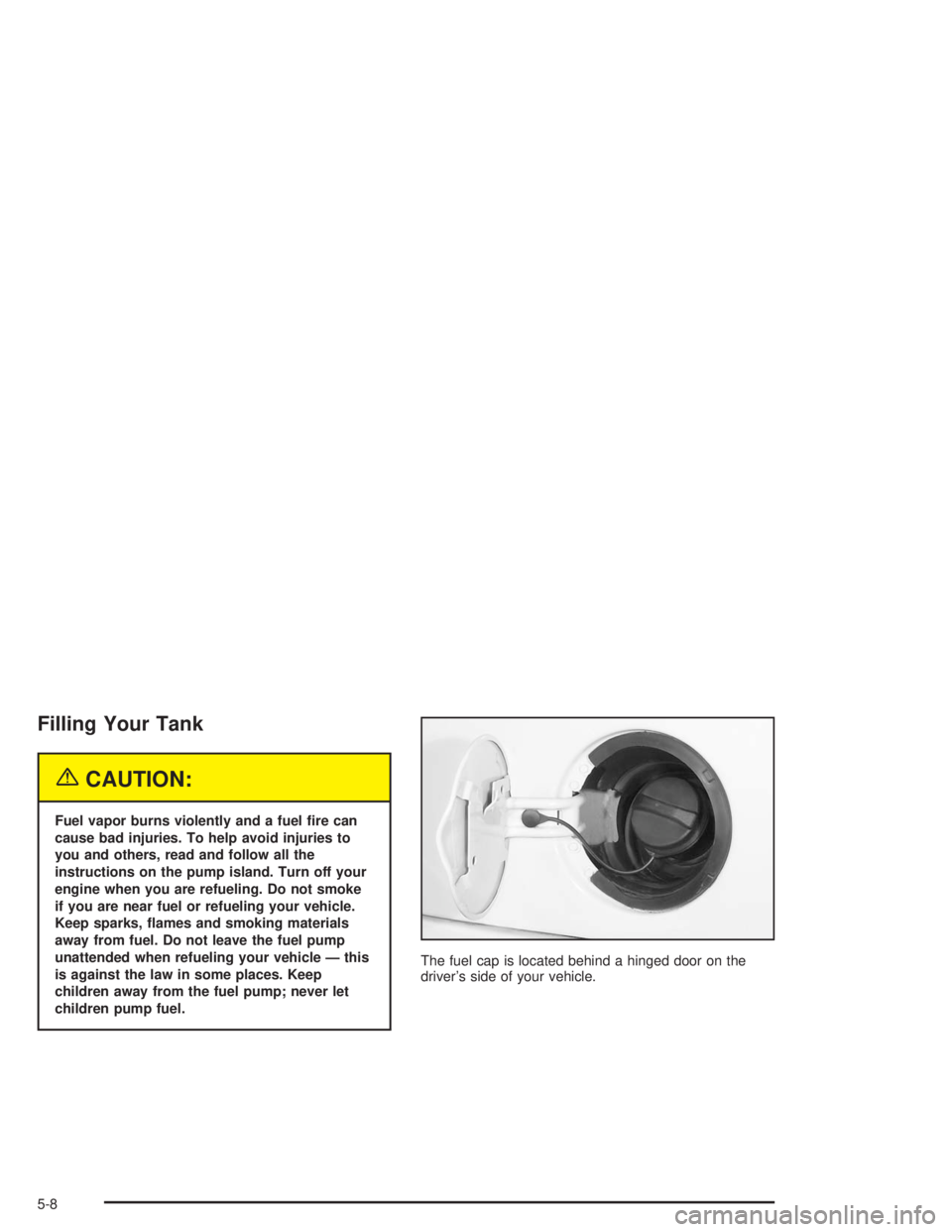 BUICK RAINIER 2004 Repair Manual Filling Your Tank
{CAUTION:
Fuel vapor burns violently and a fuel �re can
cause bad injuries. To help avoid injuries to
you and others, read and follow all the
instructions on the pump island. Turn of