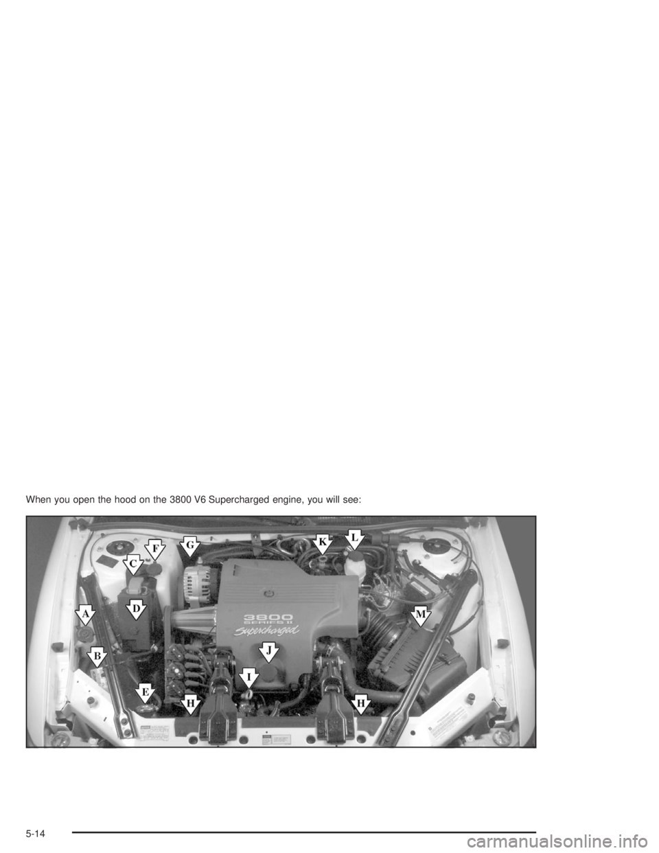 BUICK REGAL 2004 Owners Manual When you open the hood on the 3800 V6 Supercharged engine, you will see:
5-14 BUICK REGAL 2004 Owners Manual When you open the hood on the 3800 V6 Supercharged engine, you will see:
5-14