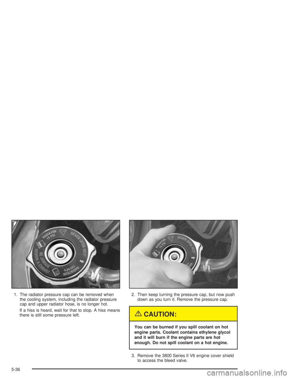BUICK REGAL 2004 Owners Manual 1. The radiator pressure cap can be removed when
the cooling system, including the radiator pressure
cap and upper radiator hose, is no longer hot.
If a hiss is heard, wait for that to stop. A hiss me BUICK REGAL 2004 Owners Manual 1. The radiator pressure cap can be removed when
the cooling system, including the radiator pressure
cap and upper radiator hose, is no longer hot.
If a hiss is heard, wait for that to stop. A hiss me
