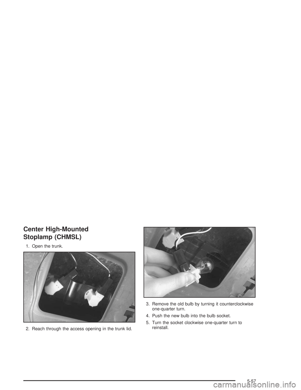 BUICK REGAL 2004  Owners Manual Center High-Mounted
Stoplamp (CHMSL)
1. Open the trunk.
2. Reach through the access opening in the trunk lid.3. Remove the old bulb by turning it counterclockwise
one-quarter turn.
4. Push the new bul