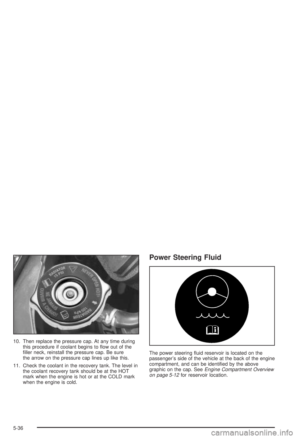 BUICK CENTURY 2003  Owners Manual 10. Then replace the pressure cap. At any time during
this procedure if coolant begins to ¯ow out of the
®ller neck, reinstall the pressure cap. Be sure
the arrow on the pressure cap lines up like t