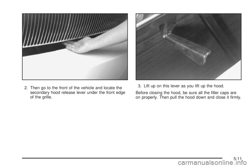 BUICK PARK AVENUE 2003 Owners Manual 2. Then go to the front of the vehicle and locate the
secondary hood release lever under the front edge
of the grille.3. Lift up on this lever as you lift up the hood.
Before closing the hood, be sure BUICK PARK AVENUE 2003 Owners Manual 2. Then go to the front of the vehicle and locate the
secondary hood release lever under the front edge
of the grille.3. Lift up on this lever as you lift up the hood.
Before closing the hood, be sure