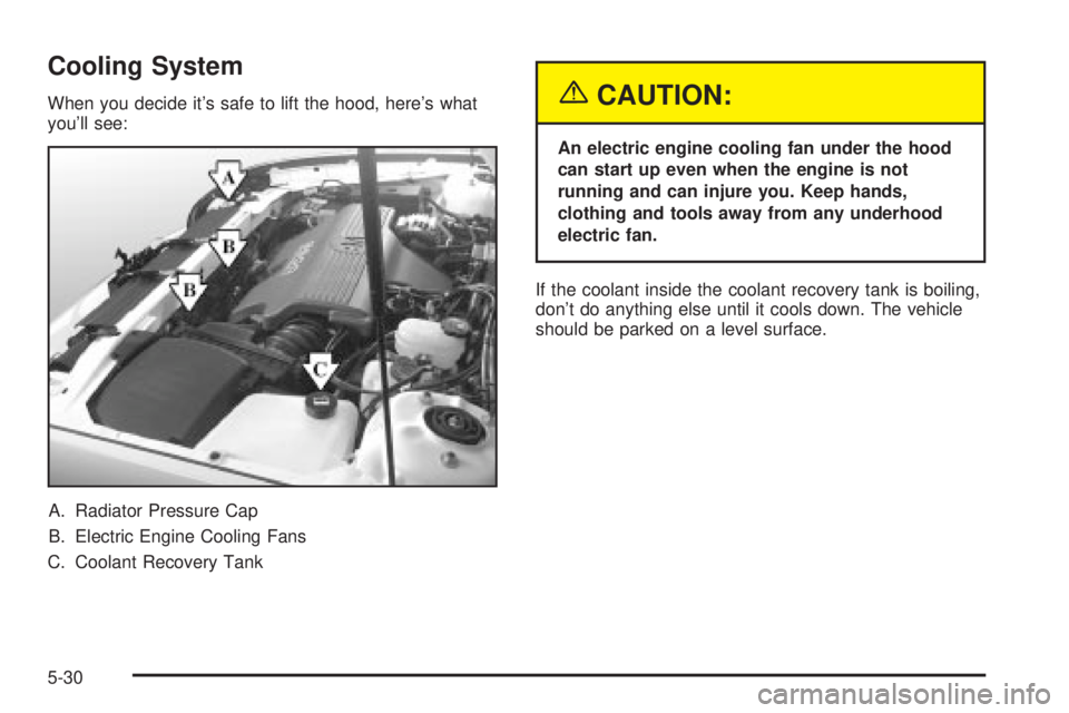 BUICK PARK AVENUE 2003 Owners Manual Cooling System
When you decide its safe to lift the hood, heres what
youll see:
A. Radiator Pressure Cap
B. Electric Engine Cooling Fans
C. Coolant Recovery Tank{CAUTION:
An electric engine cooling BUICK PARK AVENUE 2003 Owners Manual Cooling System
When you decide its safe to lift the hood, heres what
youll see:
A. Radiator Pressure Cap
B. Electric Engine Cooling Fans
C. Coolant Recovery Tank{CAUTION:
An electric engine cooling