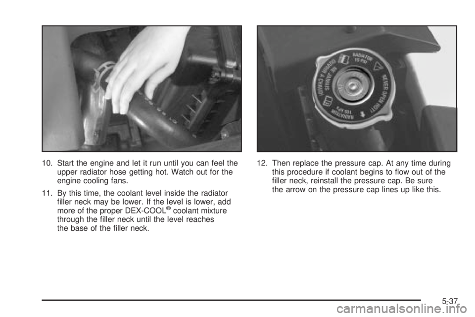 BUICK PARK AVENUE 2003 Owners Manual 10. Start the engine and let it run until you can feel the
upper radiator hose getting hot. Watch out for the
engine cooling fans.
11. By this time, the coolant level inside the radiator
®ller neck m BUICK PARK AVENUE 2003 Owners Manual 10. Start the engine and let it run until you can feel the
upper radiator hose getting hot. Watch out for the
engine cooling fans.
11. By this time, the coolant level inside the radiator
®ller neck m
