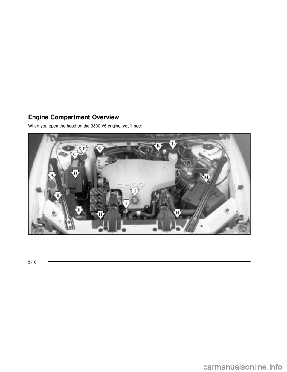 BUICK REGAL 2003  Owners Manual Engine Compartment Overview
When you open the hood on the 3800 V6 engine, you’ll see:
5-10
2003 - Regal OM 