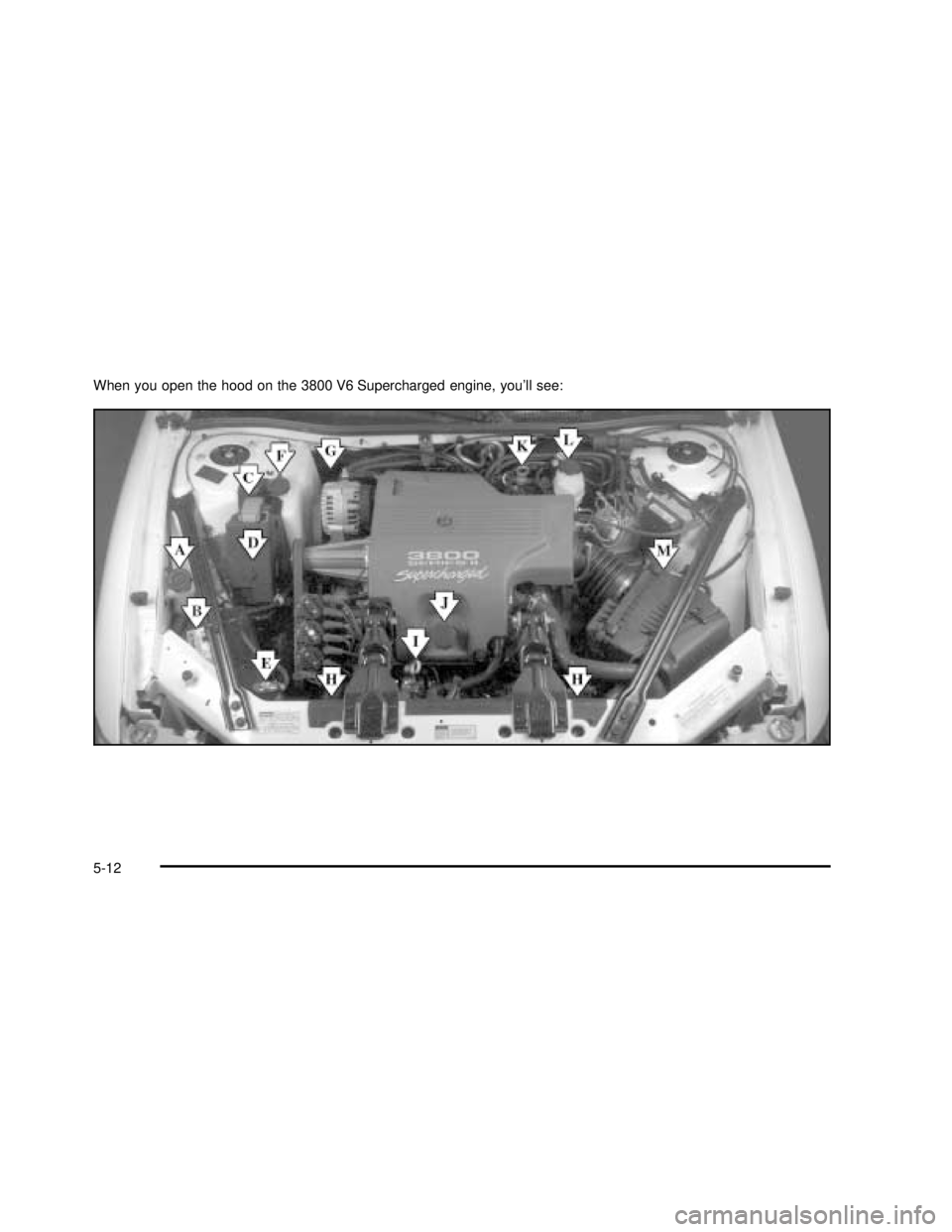 BUICK REGAL 2003  Owners Manual When you open the hood on the 3800 V6 Supercharged engine, you’ll see:
5-12
2003 - Regal OM 