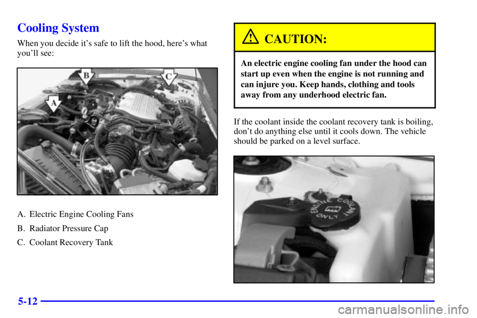 BUICK CENTURY 2002  Owners Manual 5-12
Cooling System
When you decide its safe to lift the hood, heres what
youll see:
A. Electric Engine Cooling Fans
B. Radiator Pressure Cap
C. Coolant Recovery Tank
CAUTION:
An electric engine co