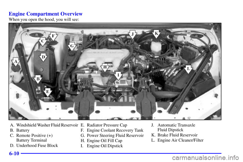 BUICK CENTURY 2002  Owners Manual 6-10 Engine Compartment Overview
When you open the hood, you will see:
A. Windshield Washer Fluid Reservoir
B. Battery
C. Remote Positive (+) 
Battery Terminal
D. Underhood Fuse BlockE. Radiator Press