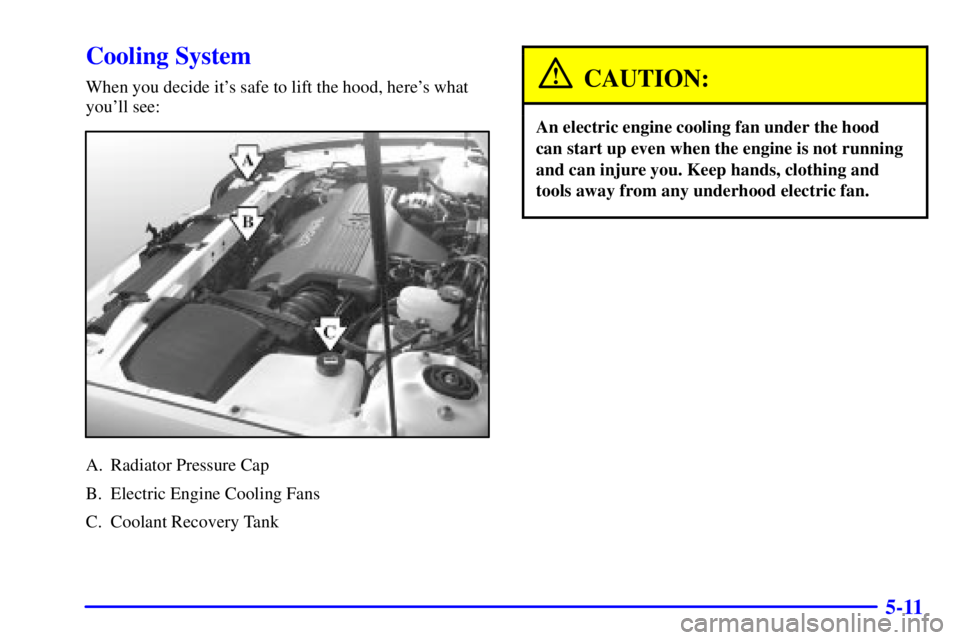 BUICK PARK AVENUE 2002  Owners Manual 5-11
Cooling System
When you decide its safe to lift the hood, heres what
youll see:
A. Radiator Pressure Cap
B. Electric Engine Cooling Fans
C. Coolant Recovery Tank
CAUTION:
An electric engine co
