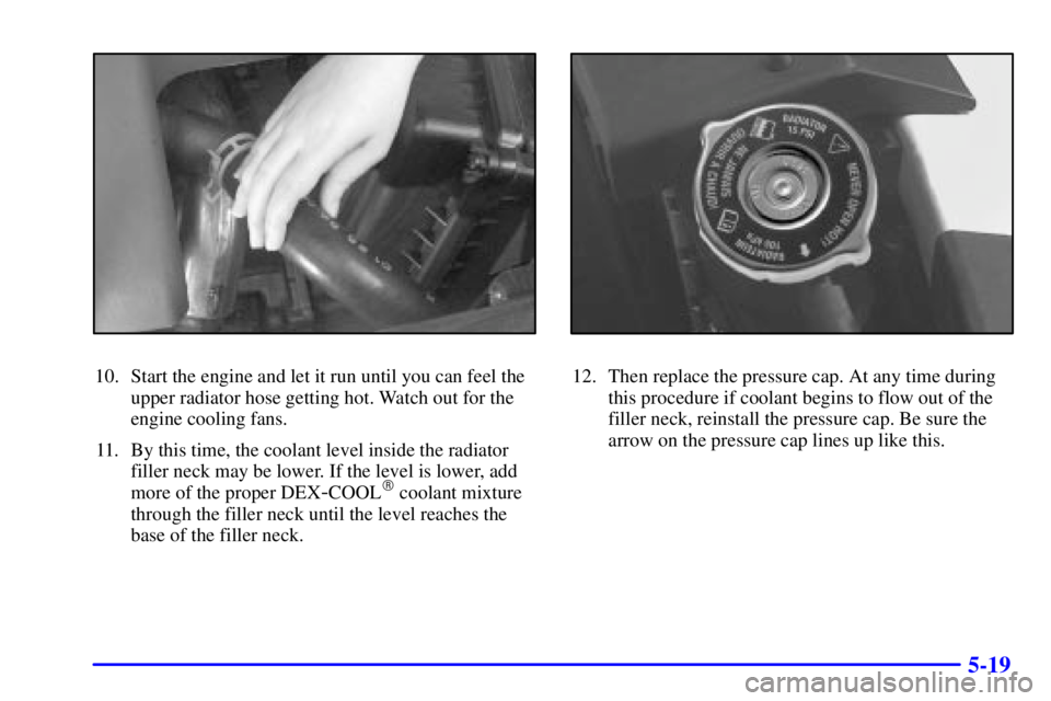 BUICK PARK AVENUE 2002  Owners Manual 5-19
10. Start the engine and let it run until you can feel the
upper radiator hose getting hot. Watch out for the
engine cooling fans.
11. By this time, the coolant level inside the radiator
filler n
