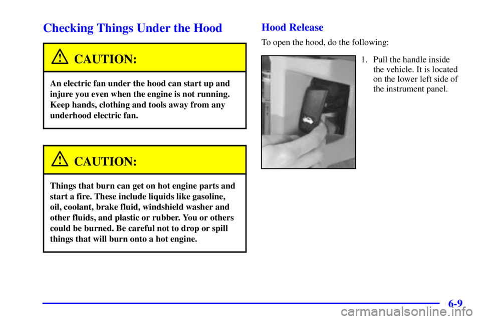BUICK PARK AVENUE 2002  Owners Manual 6-9
Checking Things Under the Hood
CAUTION:
An electric fan under the hood can start up and
injure you even when the engine is not running.
Keep hands, clothing and tools away from any
underhood elect