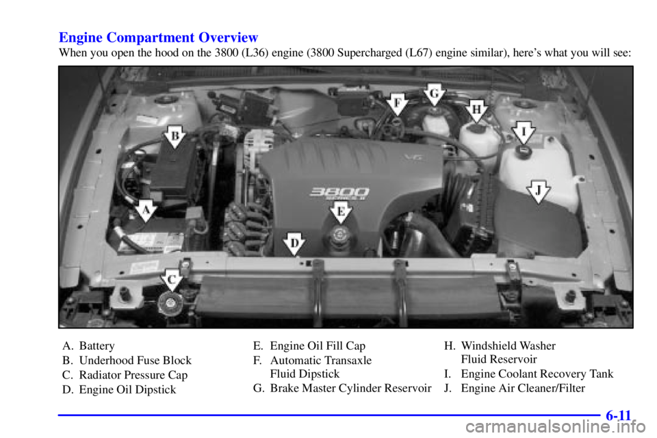 BUICK PARK AVENUE 2002  Owners Manual 6-11 Engine Compartment Overview
When you open the hood on the 3800 (L36) engine (3800 Supercharged (L67) engine similar), heres what you will see:
A. Battery
B. Underhood Fuse Block
C. Radiator Pres