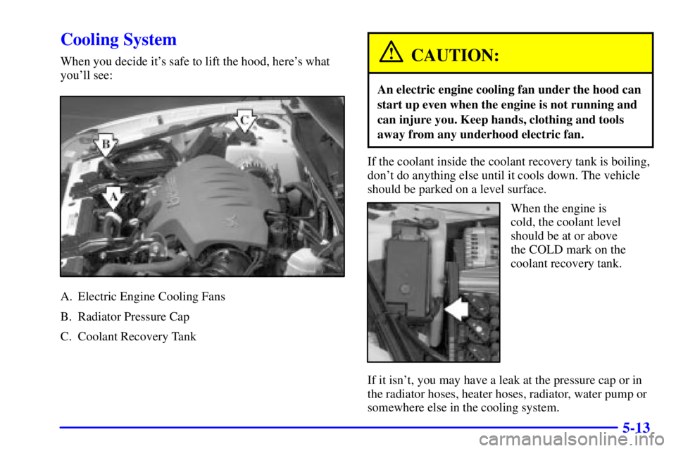 BUICK REGAL 2002 Repair Manual 5-13
Cooling System
When you decide its safe to lift the hood, heres what
youll see:
A. Electric Engine Cooling Fans
B. Radiator Pressure Cap
C. Coolant Recovery Tank
CAUTION:
An electric engine co
