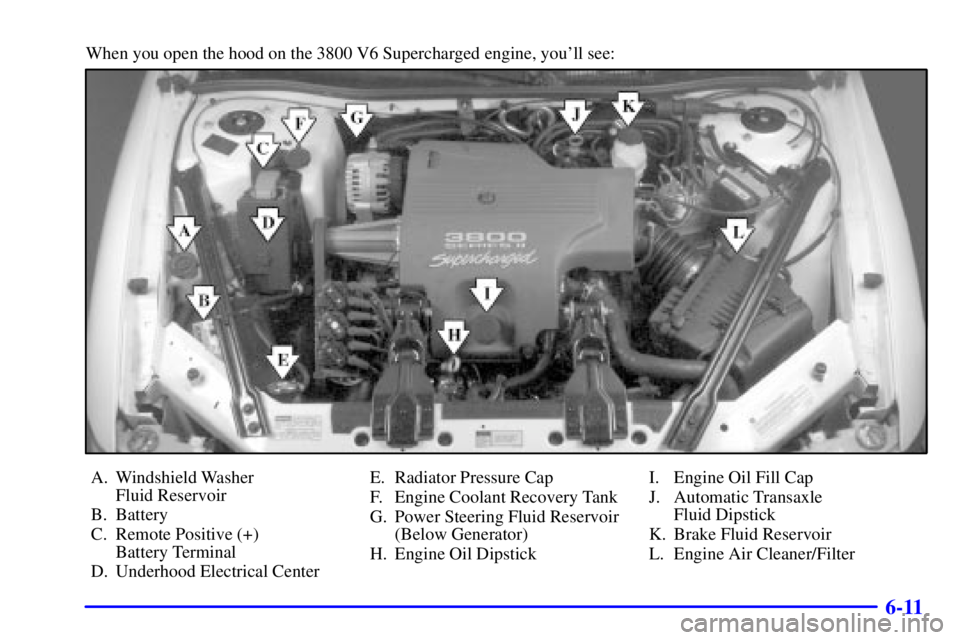 BUICK REGAL 2002 Manual Online 6-11
When you open the hood on the 3800 V6 Supercharged engine, youll see:
A. Windshield Washer 
Fluid Reservoir
B. Battery
C. Remote Positive (+) 
Battery Terminal
D. Underhood Electrical CenterE. R