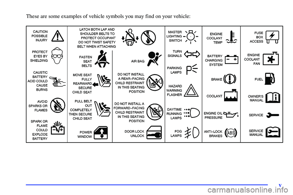 BUICK RANDEZVOUS 2002  Owners Manual v
These are some examples of vehicle symbols you may find on your vehicle: 