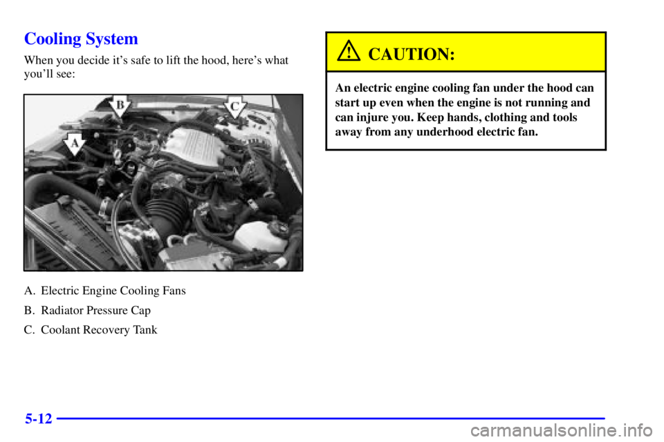 BUICK CENTURY 2001  Owners Manual 5-12
Cooling System
When you decide its safe to lift the hood, heres what
youll see:
A. Electric Engine Cooling Fans
B. Radiator Pressure Cap
C. Coolant Recovery Tank
CAUTION:
An electric engine co