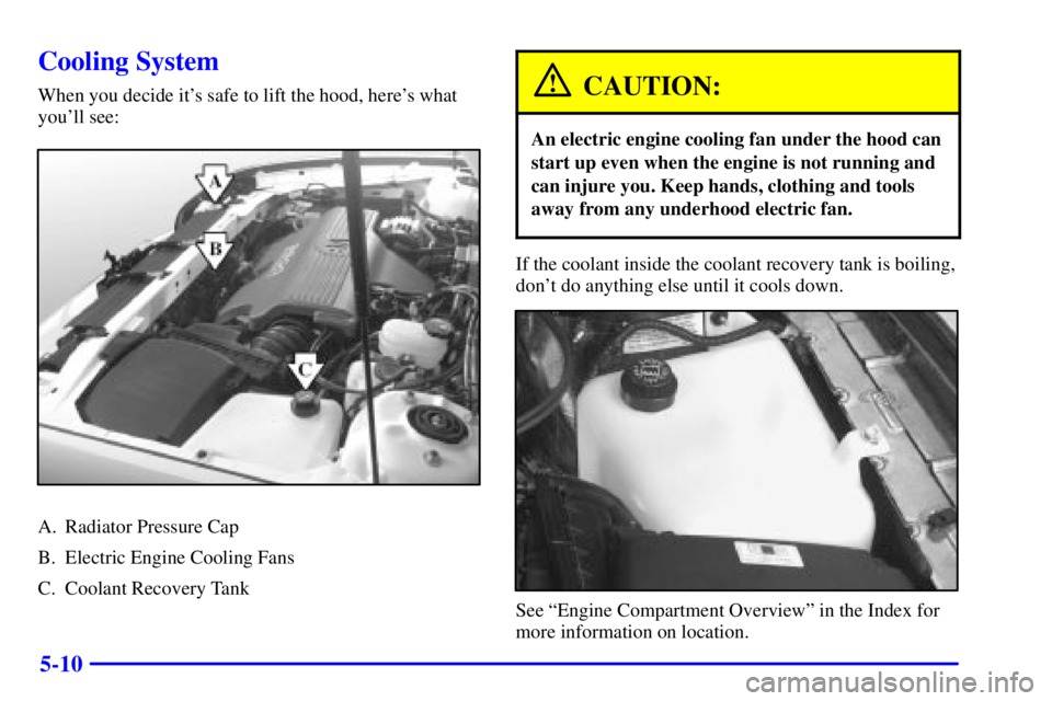 BUICK PARK AVENUE 2001  Owners Manual 5-10
Cooling System
When you decide its safe to lift the hood, heres what
youll see:
A. Radiator Pressure Cap
B. Electric Engine Cooling Fans
C. Coolant Recovery Tank
CAUTION:
An electric engine co