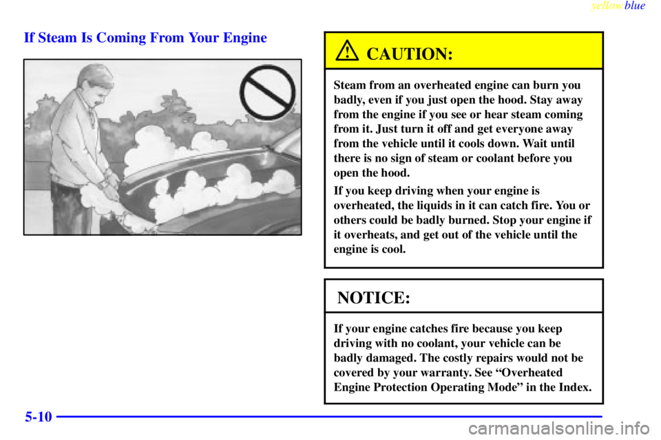 BUICK CENTURY 1999  Owners Manual yellowblue     
5-10 If Steam Is Coming From Your Engine
CAUTION:
Steam from an overheated engine can burn you
badly, even if you just open the hood. Stay away
from the engine if you see or hear steam