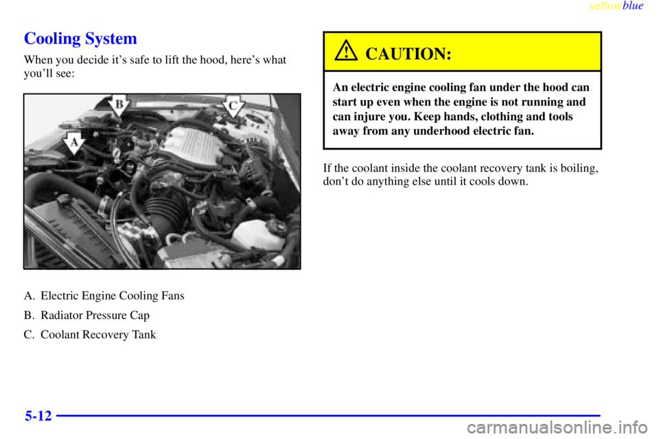 BUICK CENTURY 1999  Owners Manual yellowblue     
5-12
Cooling System
When you decide its safe to lift the hood, heres what
youll see:
A. Electric Engine Cooling Fans
B. Radiator Pressure Cap
C. Coolant Recovery Tank
CAUTION:
An el
