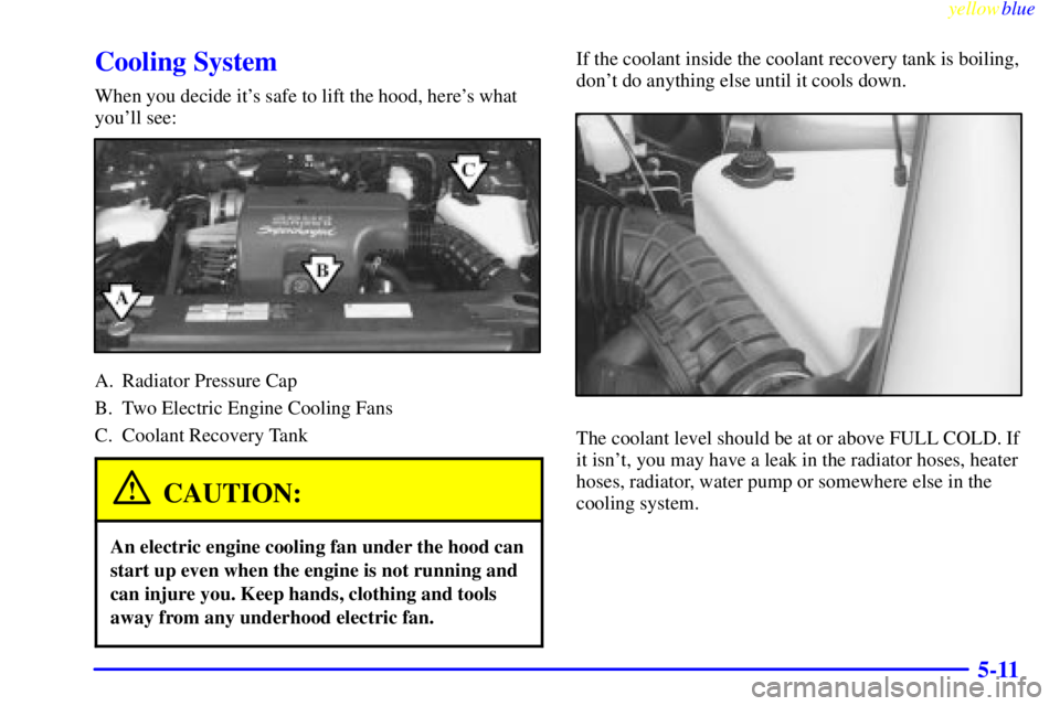 BUICK CENTURY 1998 Owners Manual yellowblue
5-11
Cooling System
When you decide its safe to lift the hood, heres what
youll see:
A. Radiator Pressure Cap
B. Two Electric Engine Cooling Fans
C. Coolant Recovery Tank
CAUTION:
A BUICK CENTURY 1998 Owners Manual yellowblue
5-11
Cooling System
When you decide its safe to lift the hood, heres what
youll see:
A. Radiator Pressure Cap
B. Two Electric Engine Cooling Fans
C. Coolant Recovery Tank
CAUTION:
A