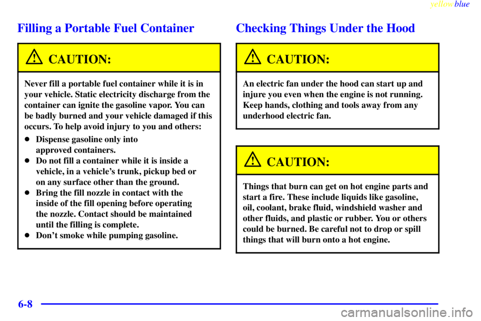 BUICK CENTURY 1998 Repair Manual yellowblue     
6-8
Filling a Portable Fuel Container
CAUTION:
Never fill a portable fuel container while it is in
your vehicle. Static electricity discharge from the
container can ignite the gasoline