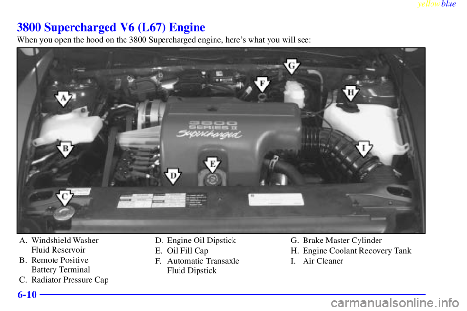 BUICK CENTURY 1998 Repair Manual yellowblue     
6-10
3800 Supercharged V6 (L67) Engine
When you open the hood on the 3800 Supercharged engine, heres what you will see:
A. Windshield Washer 
Fluid Reservoir
B. Remote Positive 
Batte