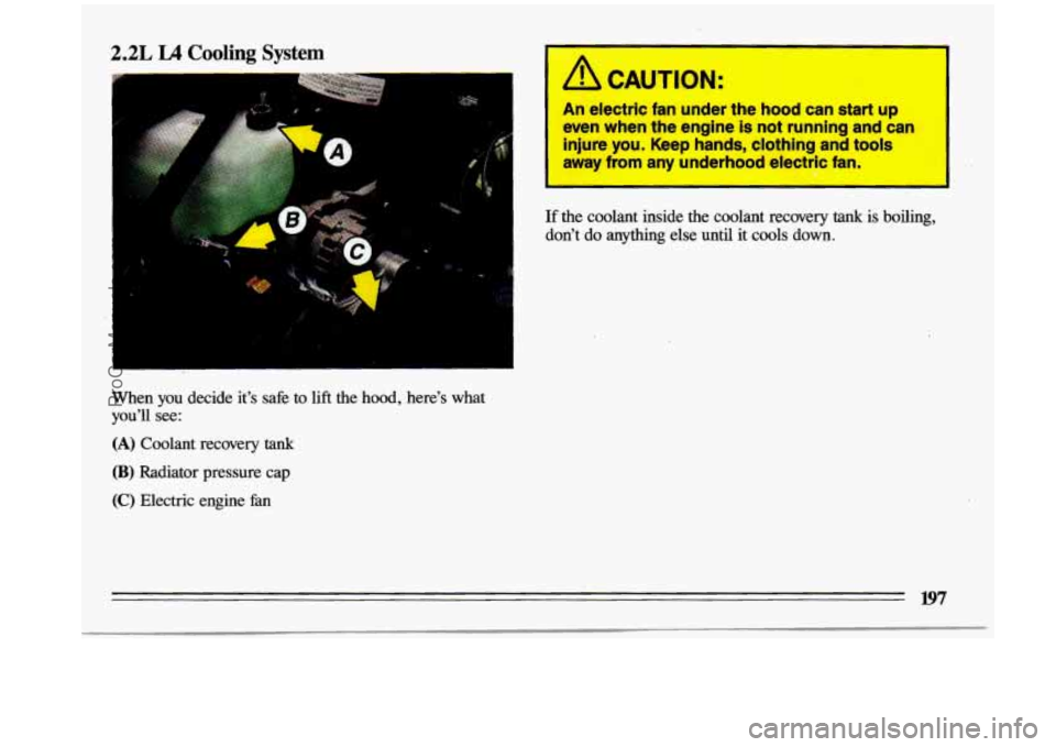 BUICK CENTURY 1993  Owners Manual 2.2L L4 Cooling System 
= 
1 
When  you decide it’s  safe  to lift the  hood,  here’s  what 
you’ll 
see: 
(A) Coolant  recovery tank 
(B) Radiator  pressure  cap 
(C) Electric  engine  fan 
It!