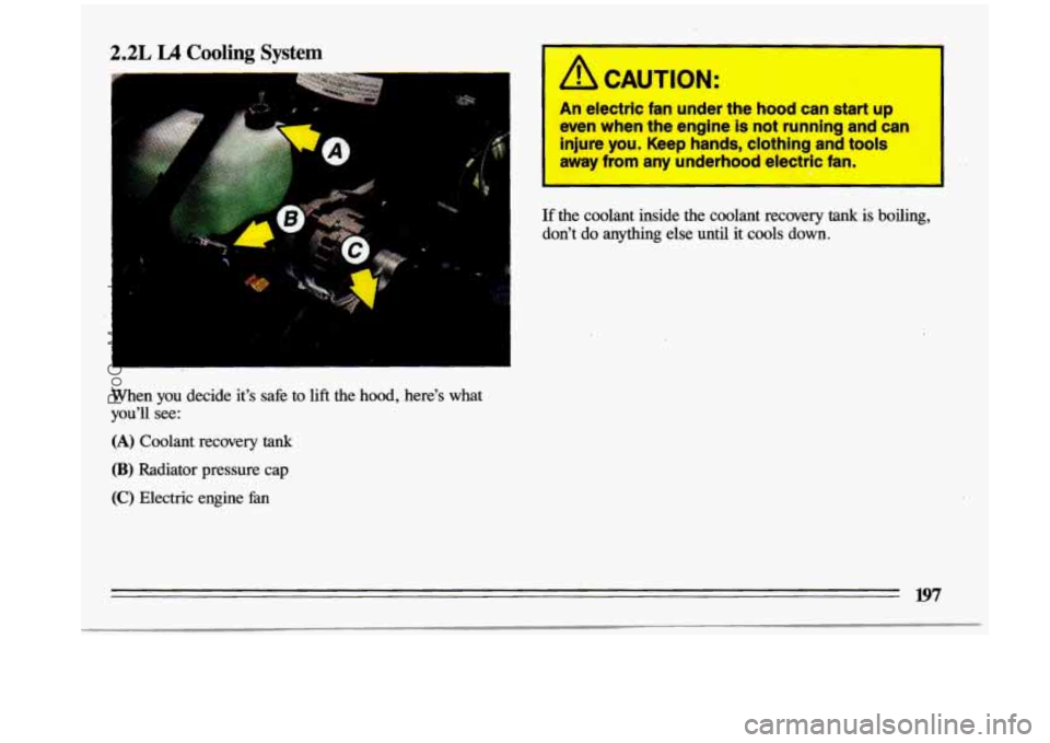 BUICK CENTURY 1993 Owners Manual 2.2L L4 Cooling System
=
1
When you decide it’s safe to lift the hood, here’s what
you’ll
see:
(A) Coolant recovery tank
(B) Radiator pressure cap
(C) Electric engine fan
It! BUICK CENTURY 1993 Owners Manual 2.2L L4 Cooling System
=
1
When you decide it’s safe to lift the hood, here’s what
you’ll
see:
(A) Coolant recovery tank
(B) Radiator pressure cap
(C) Electric engine fan
It!