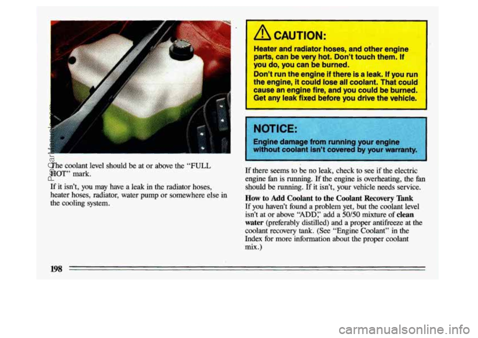 BUICK CENTURY 1993  Owners Manual I 
The  coolant  level  should  be  at or above  the “FULL 
HOT” mark. 
If  it  isn’t,  you  may  have  a  leak  in  the  radiator  hoses, 
heater  hoses,  radiator,  water  pump  or somewhere  